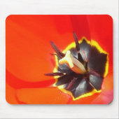 Rochen Mousepad (Vorne)