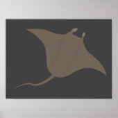 Rochen Poster (Vorne)