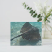 ROCHEN POSTKARTE (Stehend Vorderseite)
