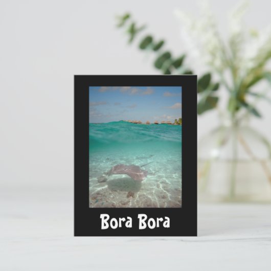 Rochen unter dem Wasser in Bora Bora schwarze Kart Postkarte (Stehend Vorderseite)