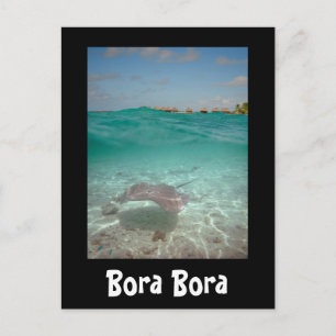 Rochen unter dem Wasser in Bora Bora schwarze Kart Postkarte
