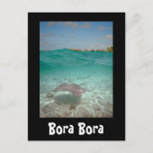 Rochen unter dem Wasser in Bora Bora schwarze Kart Postkarte (Vorderseite)