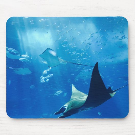 Rochen unter Wasser Mousepad (Vorne)