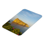Rocher Perce (Perce Rock), Quebec, Kanada. Magnet (Linke Seite)