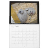 Rochester-Falcons 2012 in Toronto-Kalender Kalender (Mär 2027)