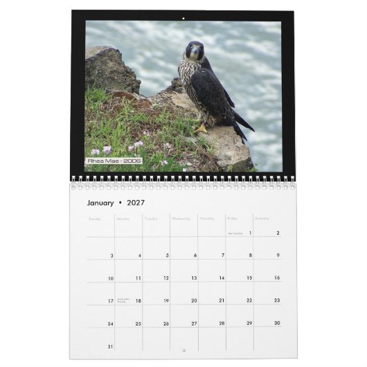 Rochester-Falcons 2012 in Toronto-Kalender Kalender (Jan 2027)
