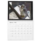 Rochester-Falcons 2012 in Toronto-Kalender Kalender (Feb 2027)