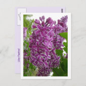 Rochester Lilacs Postcard Postkarte (Vorne/Hinten)