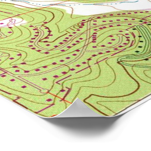 Rochester Michigan Map (1972) Poster (Ecke)