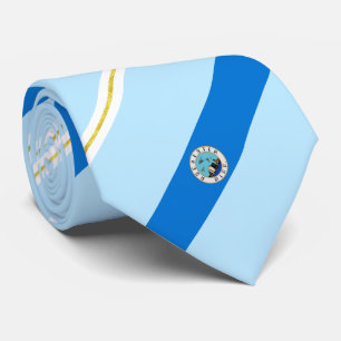 Rochester (Minnesota) Stadtflagge Neck Tie Krawatte