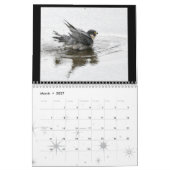 Rochester-Wanderfalke-Kalender 2012 Kalender (Mär 2027)