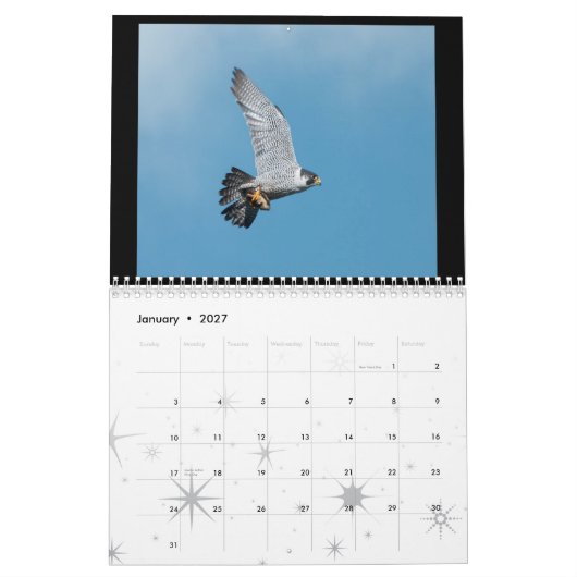 Rochester-Wanderfalke-Kalender 2012 Kalender (Jan 2027)