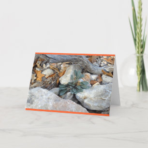 Rock Art #5 Karte