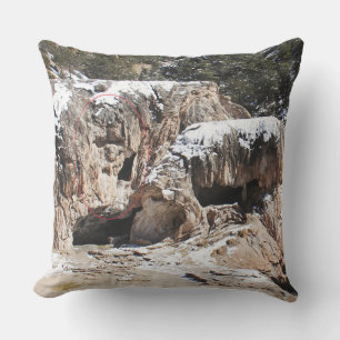 Rock Art - Die Kunst der Natur Kissen