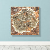 Rock Art - The Art in Nature Leinwanddruck (Insitu (Holzboden))