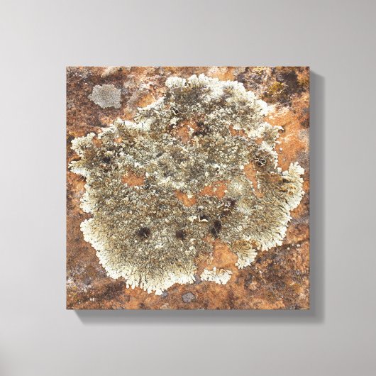 Rock Art - The Art in Nature Leinwanddruck (Vorderseite)