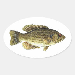 Rock Bass - Rotes Auge Ovaler Aufkleber