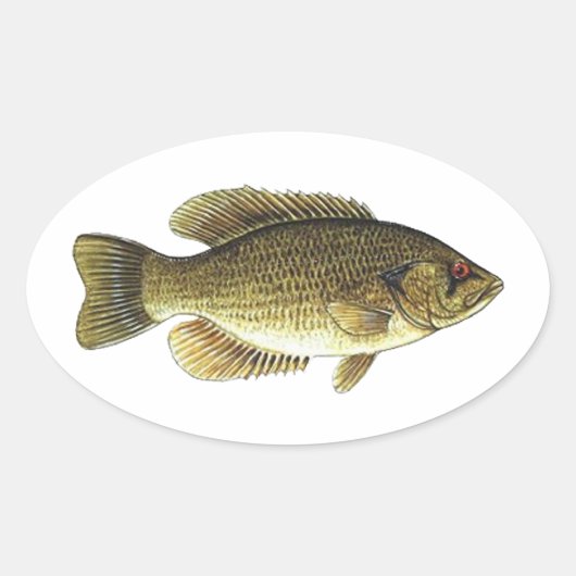 Rock Bass - Rotes Auge Ovaler Aufkleber (Vorderseite)