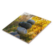 Rock Cairn Zen Garden Dekorative Tile Fliese (Seite)