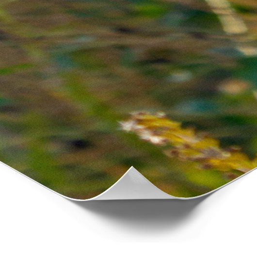 Rock Cairn Zen Wall Poster (Ecke)