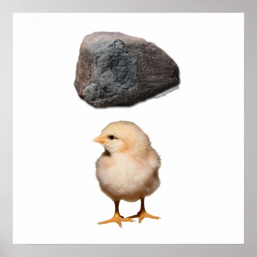 Rock + Chick Poster (Vorne)