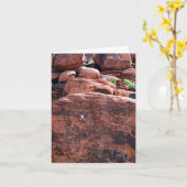 Rock Climber Birthday Karte (Gelbe Blume)