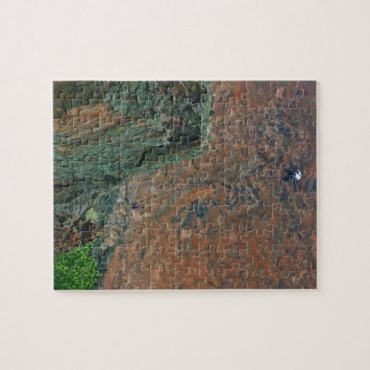 Rock Climbers Puzzle (Horizontal)