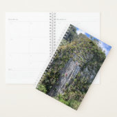 Rock Climbing Planer (Anzeige)