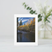 "Rock Creek Canyon Gold" Postkarte (Stehend Vorderseite)