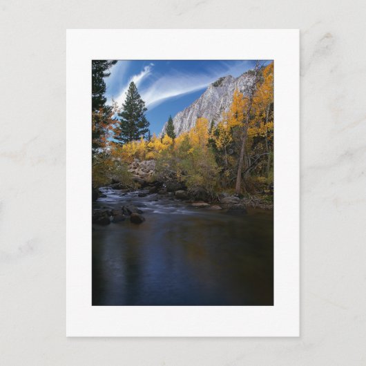 "Rock Creek Canyon Gold" Postkarte (Vorderseite)