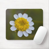 Rock Daisy Mousepad (Mit Mouse)