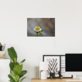 Rock Daisy Poster (Heimbüro)