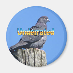 Rock-Dock-Taubenmagnet Magnet