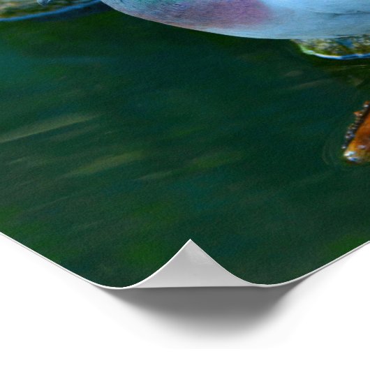 Rock Dove Poster (Ecke)