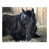 Rock Fall by Speightstown - Renda Fotodruck (Vorne)