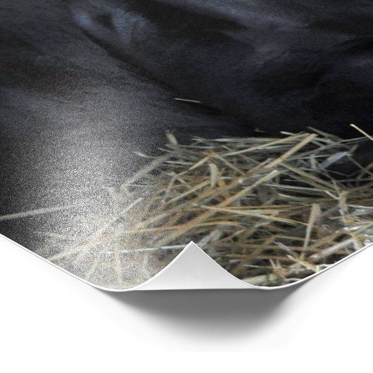 Rock Fall by Speightstown - Renda Fotodruck (Ecke)