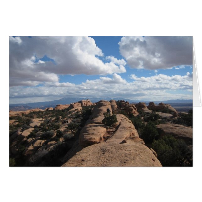 Rock Fin (Vorderseite (Horizontal))