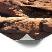 Rock Fins Poster (Ecke)