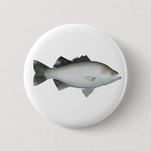 Rock Flagtail Button