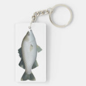 Rock Flagtail Schlüsselanhänger (Rückseite)