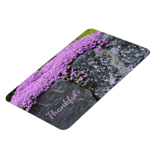 Rock Garden Dankbarkeit Magnet (Linke Seite)