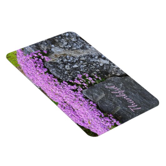 Rock Garden Dankbarkeit Magnet (Rechte Seite)