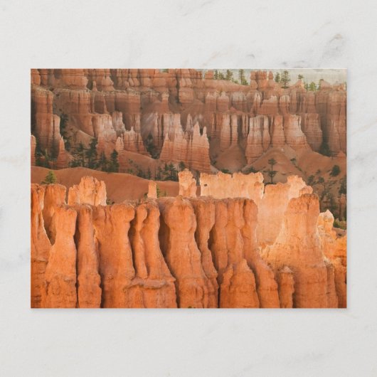 Rock Garden Postkarte (Vorderseite)