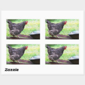 Rock-Hen auf der Schubkarre Rechteckiger Aufkleber (Blatt)