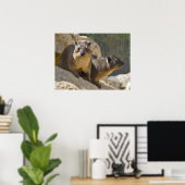 Rock hyrax auf Stein Poster (Heimbüro)