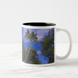 Rock Islands Palau Zweifarbige Tasse