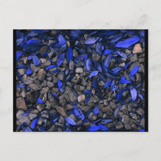 "Rock 'n Blues" JTG Art Postcard Postkarte (Vorderseite)