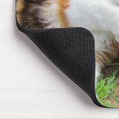 Rock Nom Cat Food Mousepad (Ecke)