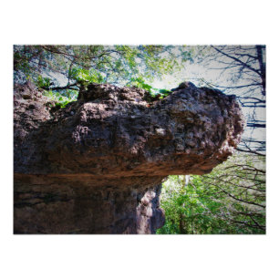 Rock-opotamus Fotodruck