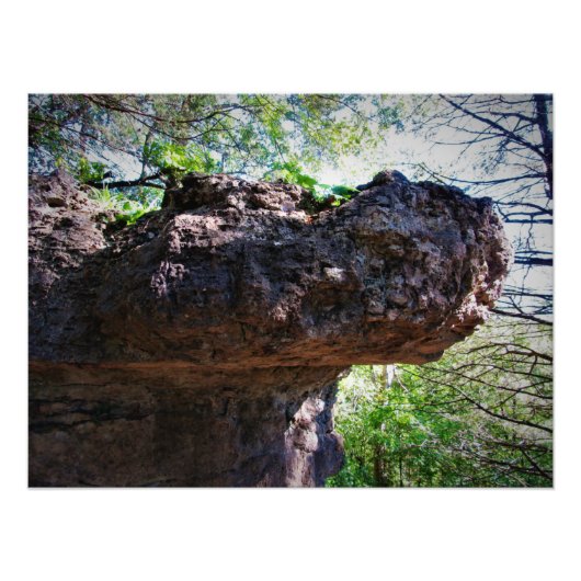 Rock-opotamus Fotodruck (Vorne)